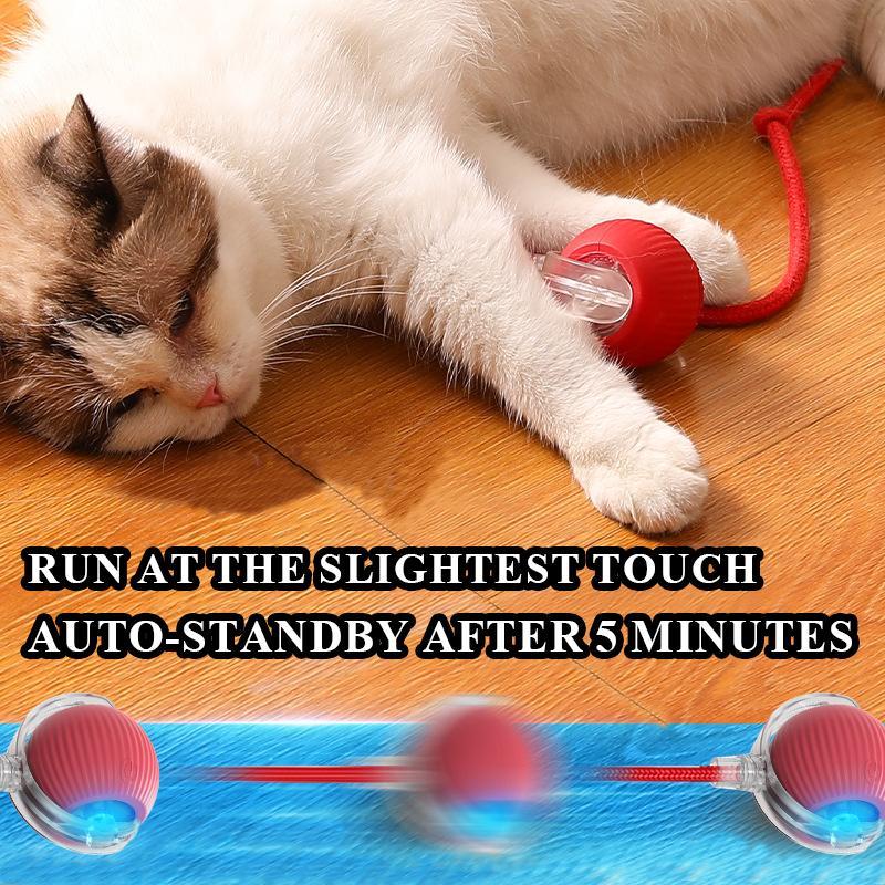 USB Rechargeable Interactive Cat Toy Ball, 1 Count Automatic Pet Exercise Toy, Motion Activate Electric Cat Toy, Pet Supplies for Indoor Outdoor Use, Valentine's Day Gift